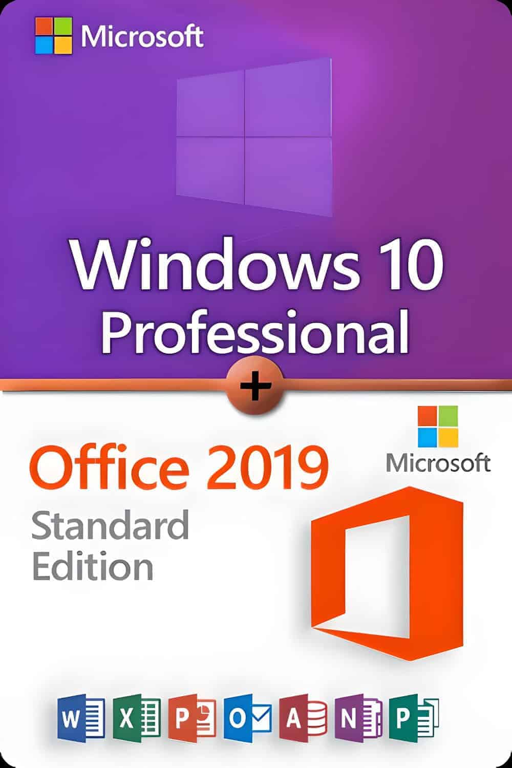 Microsoft Windows 10 Professional + Microsoft Office 2019 Standard License for 3 devices